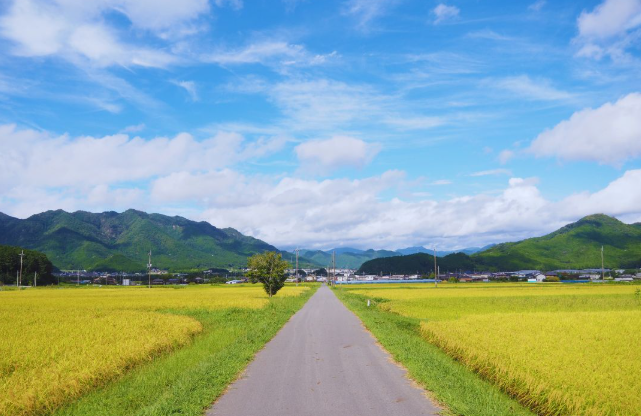 丹波便り~新年のご挨拶〜